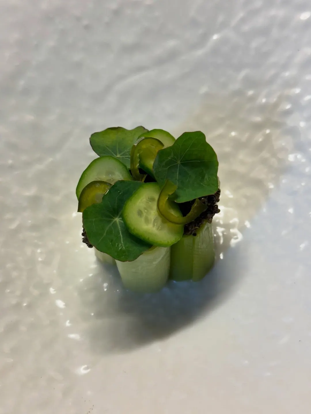Rezept: Lauch mit Gurken-Koriandersud – Bild 4